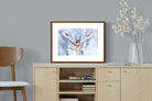 Pixalot ® Jackal Buzzard