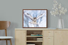Pixalot ® Jackal Buzzard