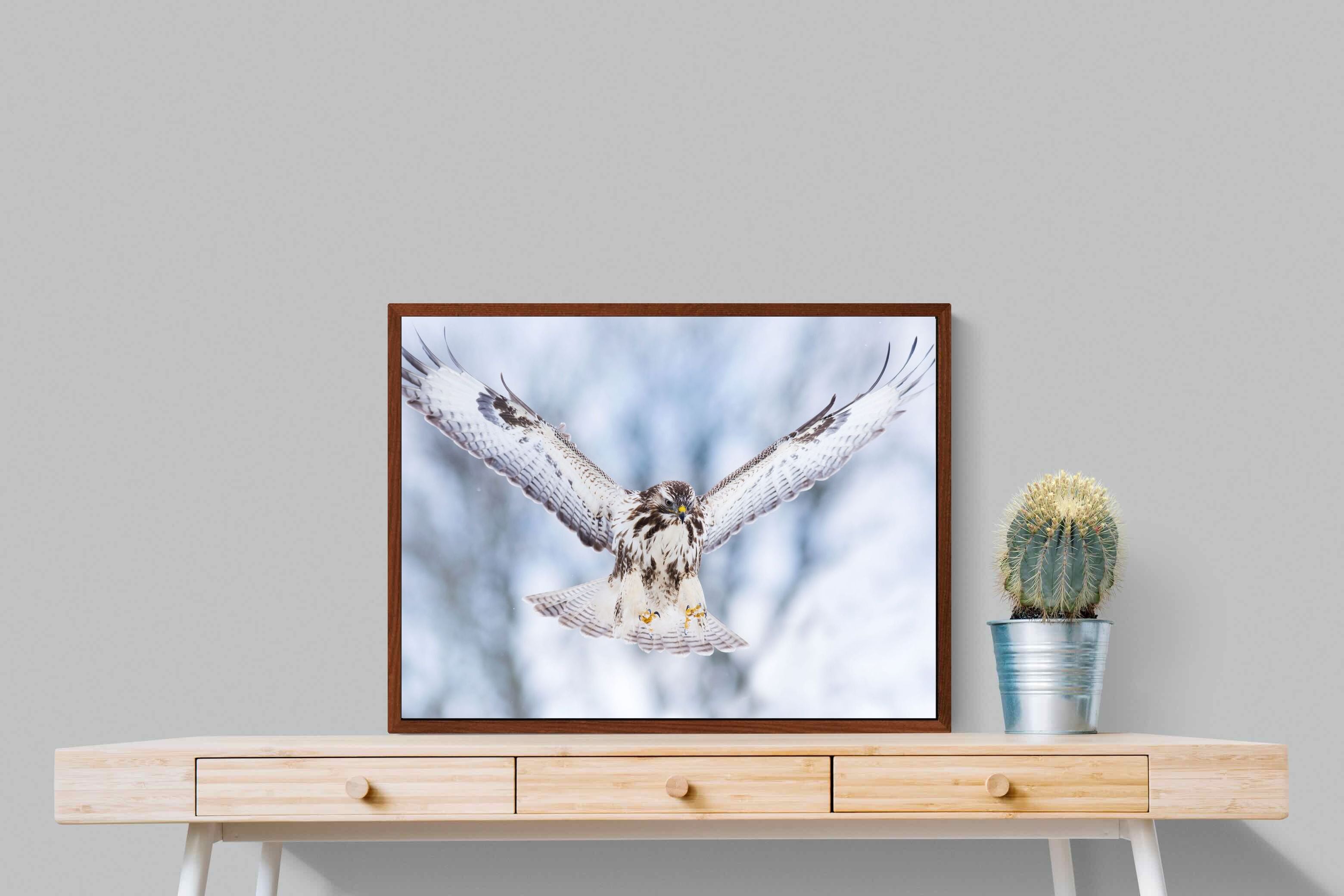 Pixalot ® Jackal Buzzard