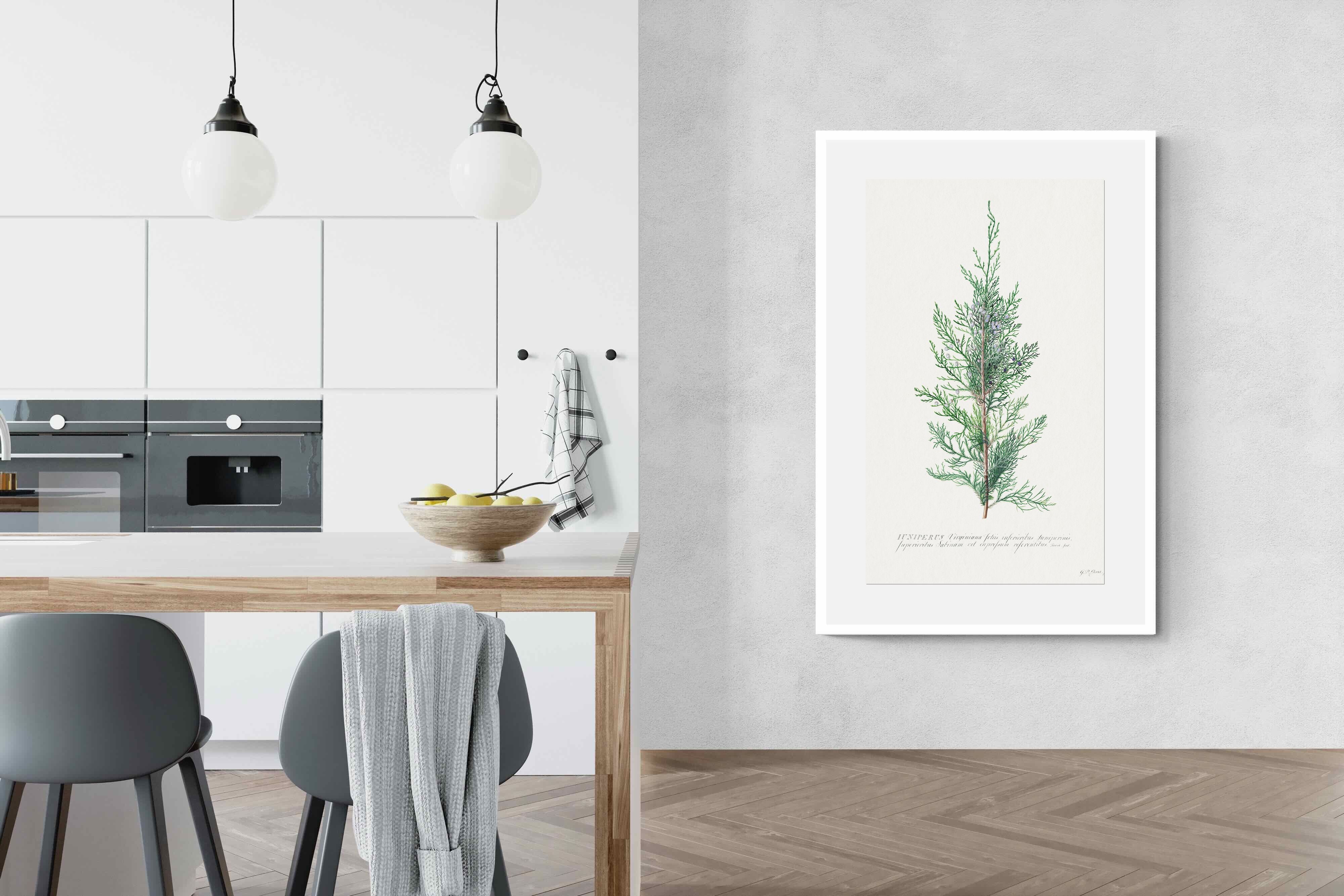 Pixalot Juniper Silhouette