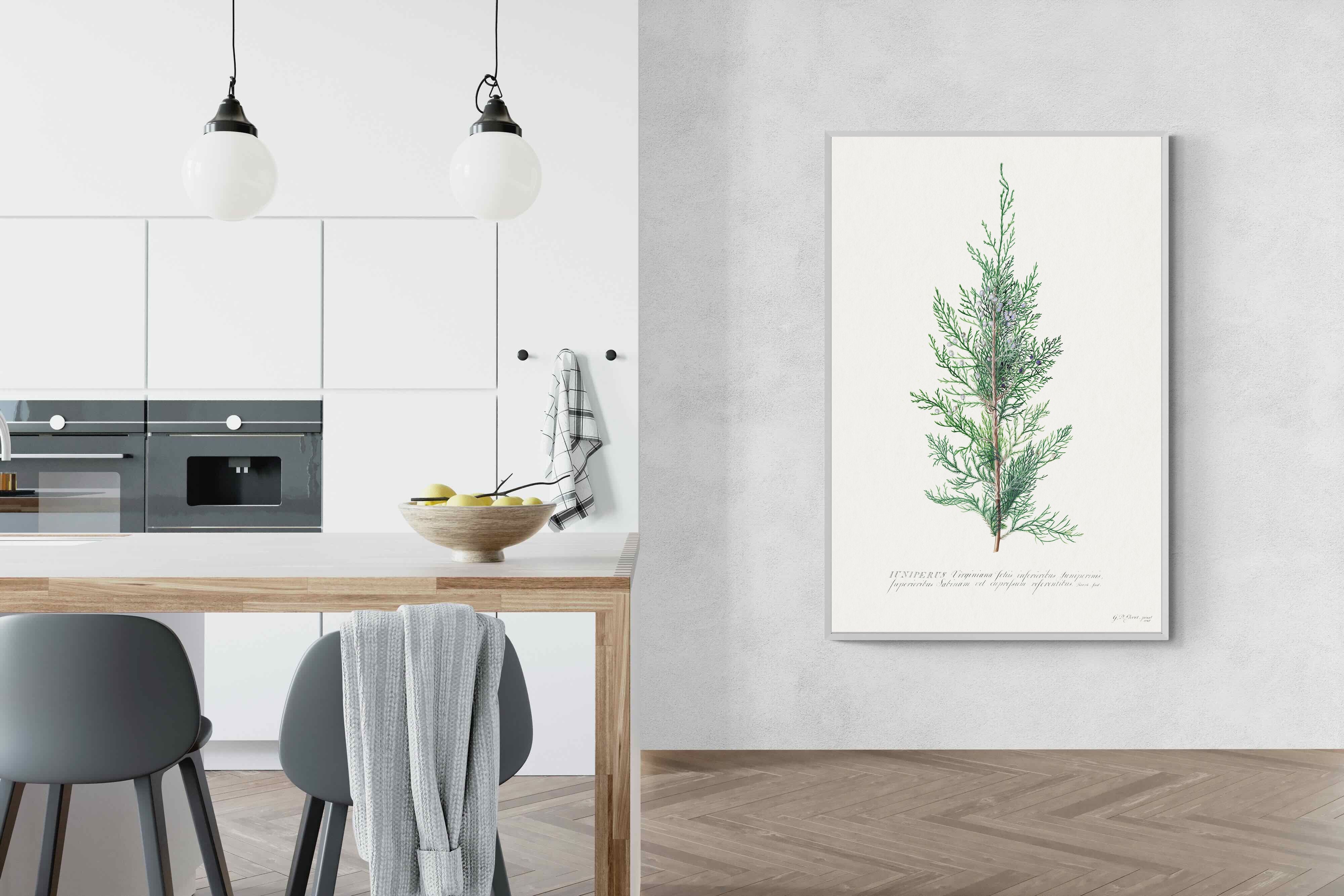 Pixalot Juniper Silhouette