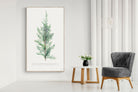 Pixalot Juniper Silhouette