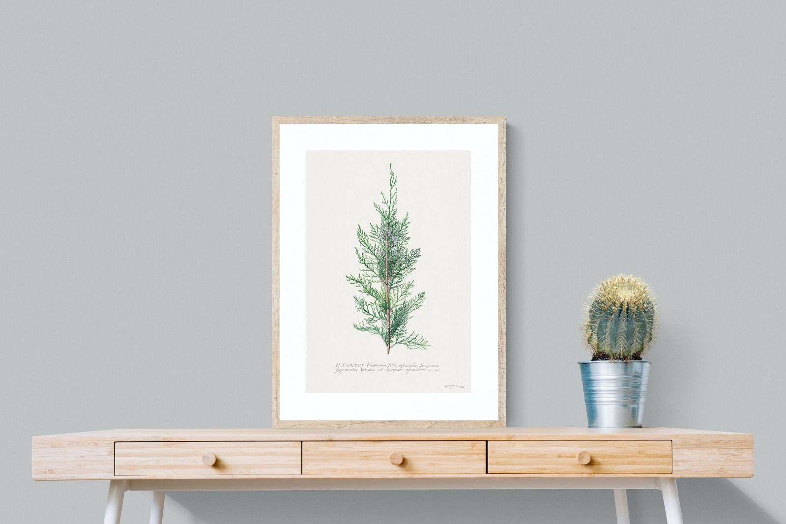 Pixalot Juniper Silhouette