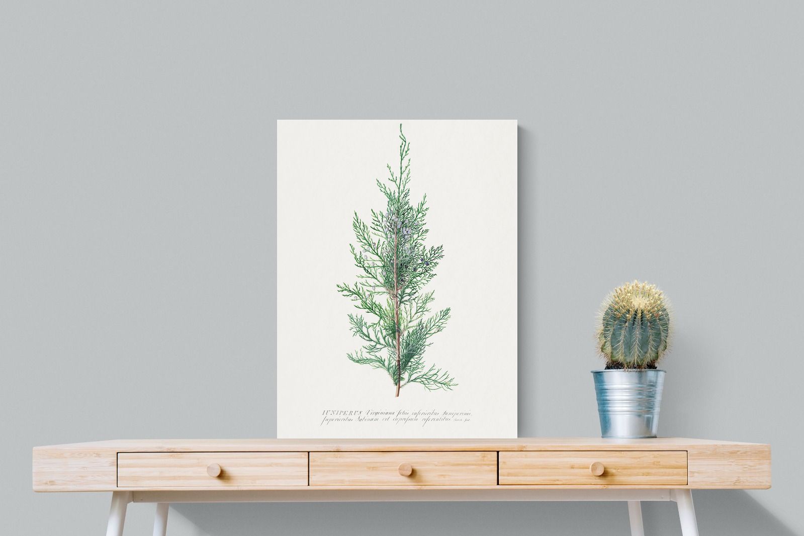Pixalot Juniper Silhouette