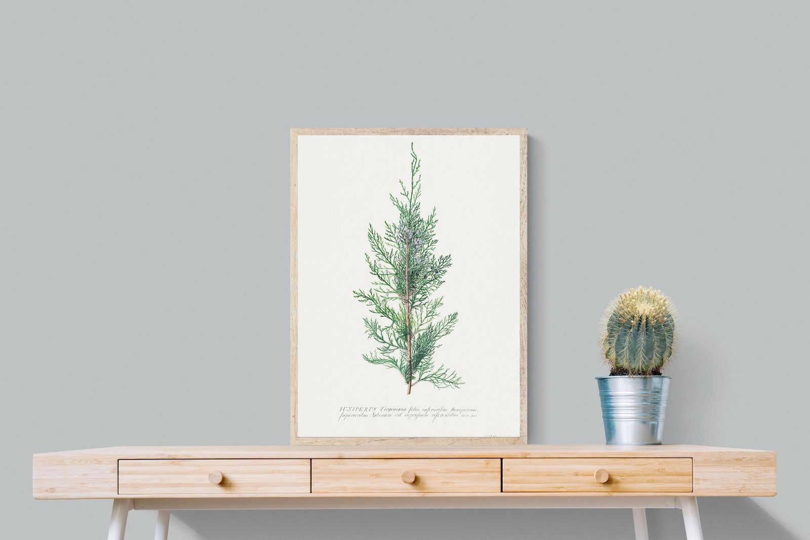 Pixalot Juniper Silhouette