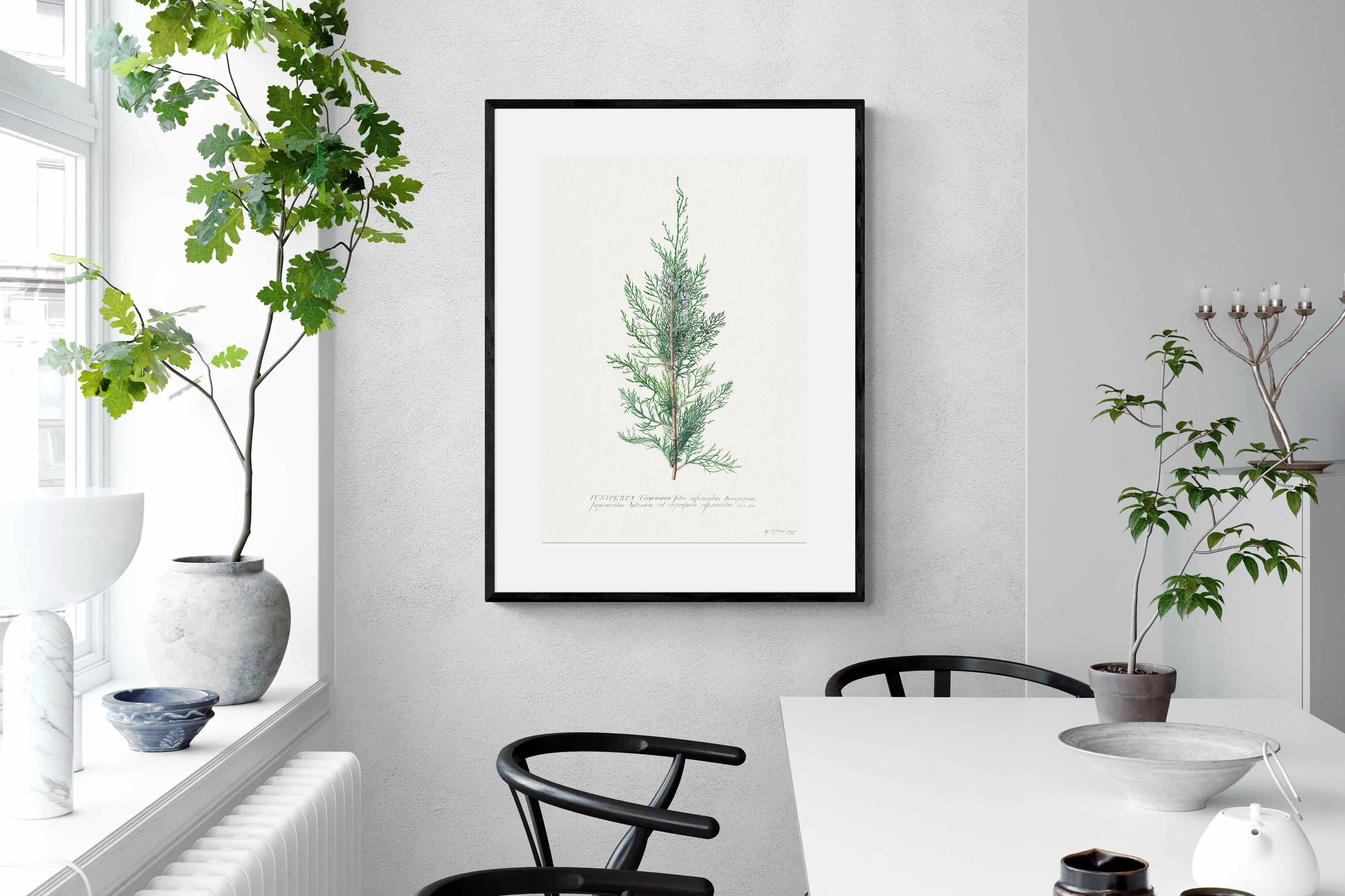 Pixalot Juniper Silhouette