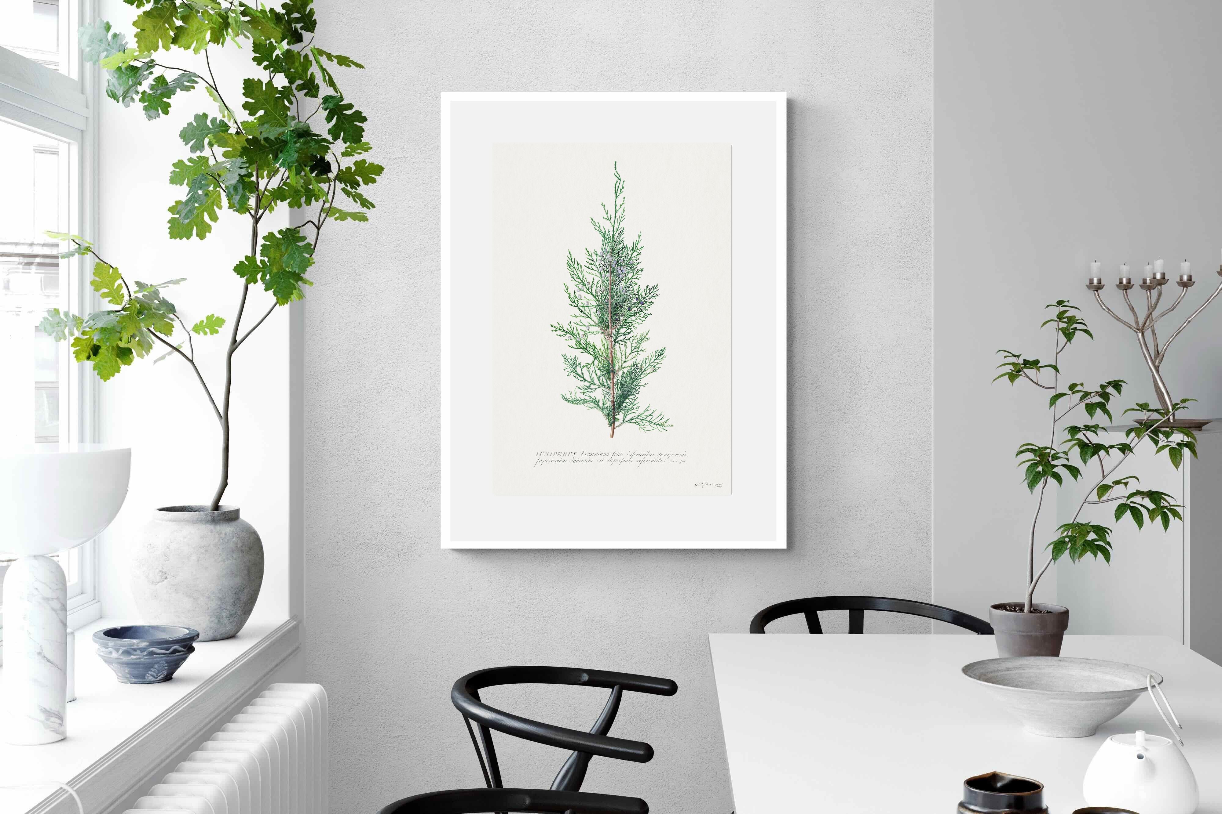 Pixalot Juniper Silhouette