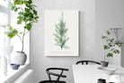 Pixalot Juniper Silhouette