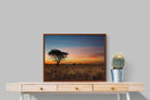 Pixalot ® Kalahari