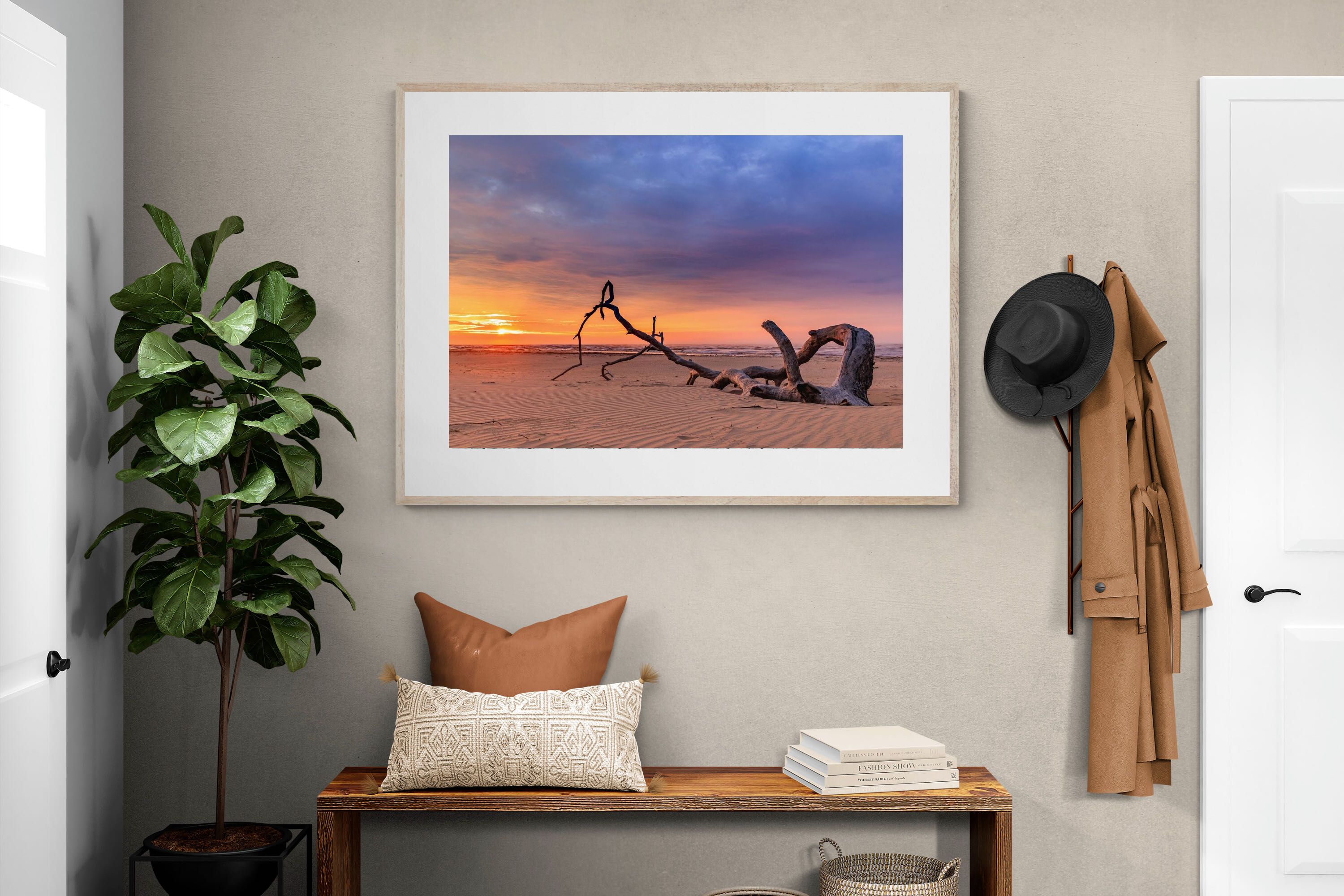 Pixalot Kei Mouth Driftwood