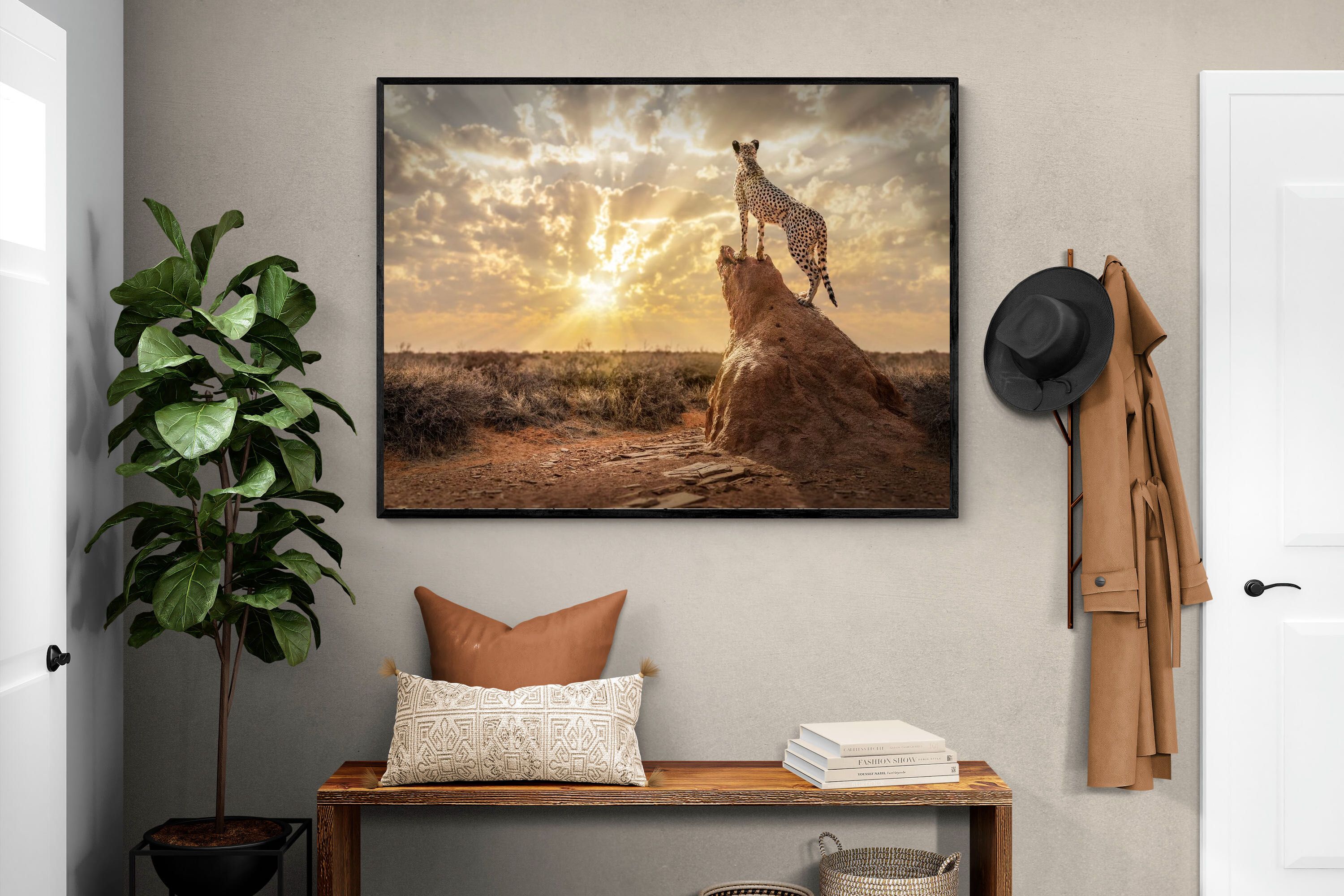 Pixalot King of the Savannah (Colour)