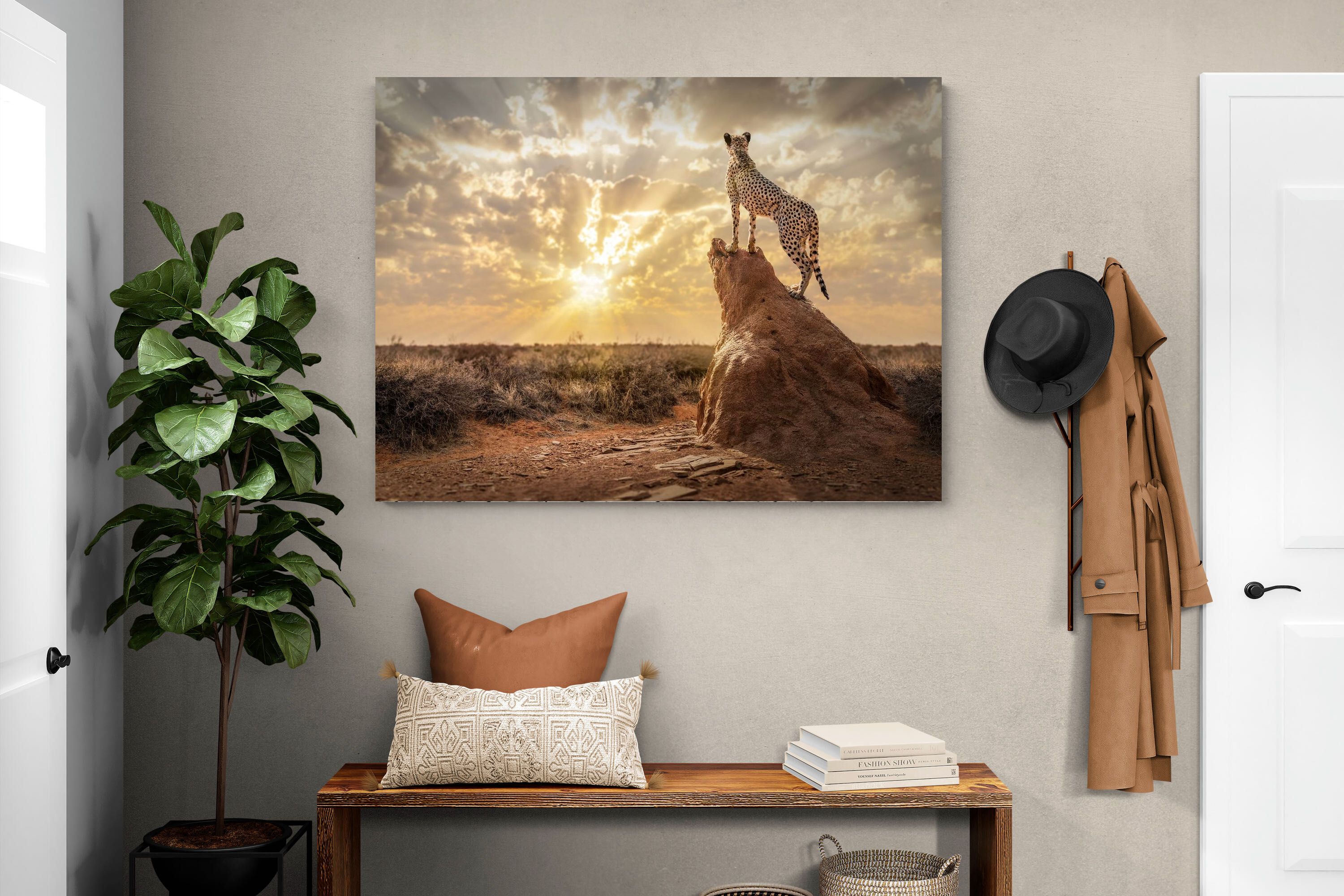 Pixalot King of the Savannah (Colour)