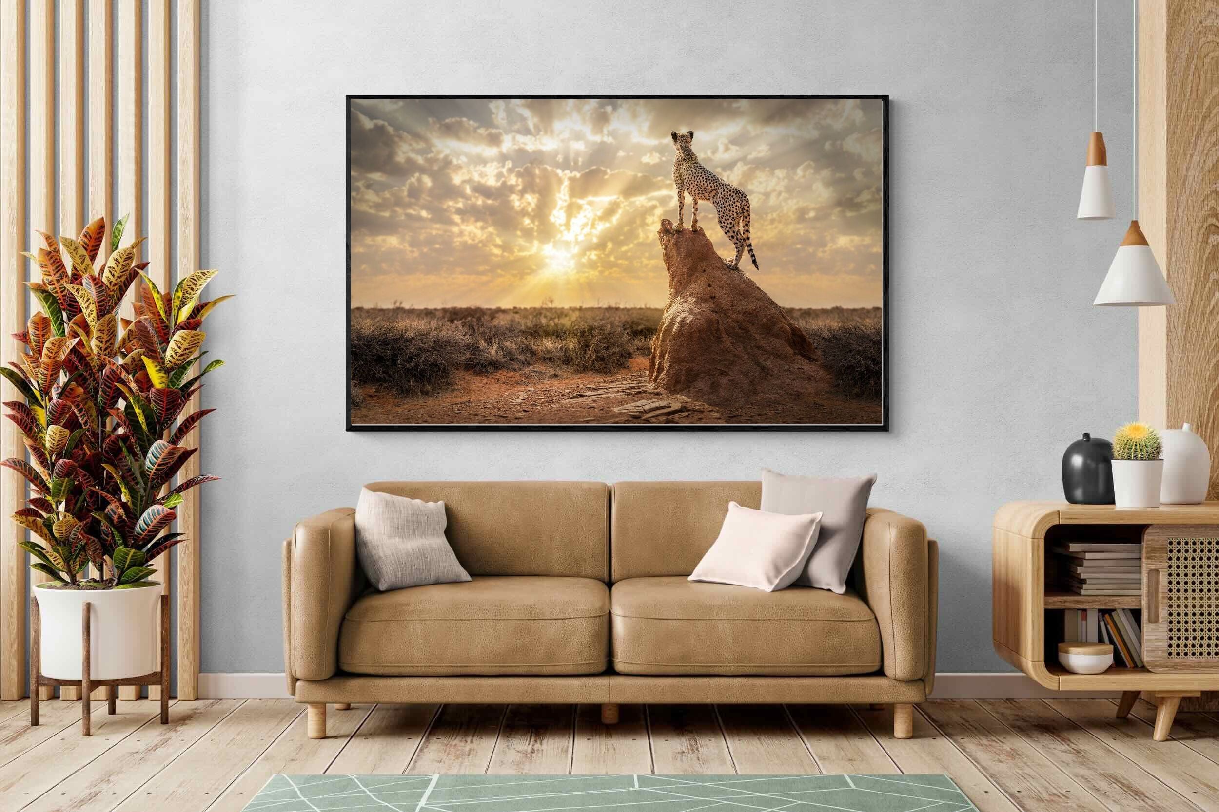 Pixalot King of the Savannah (Colour)