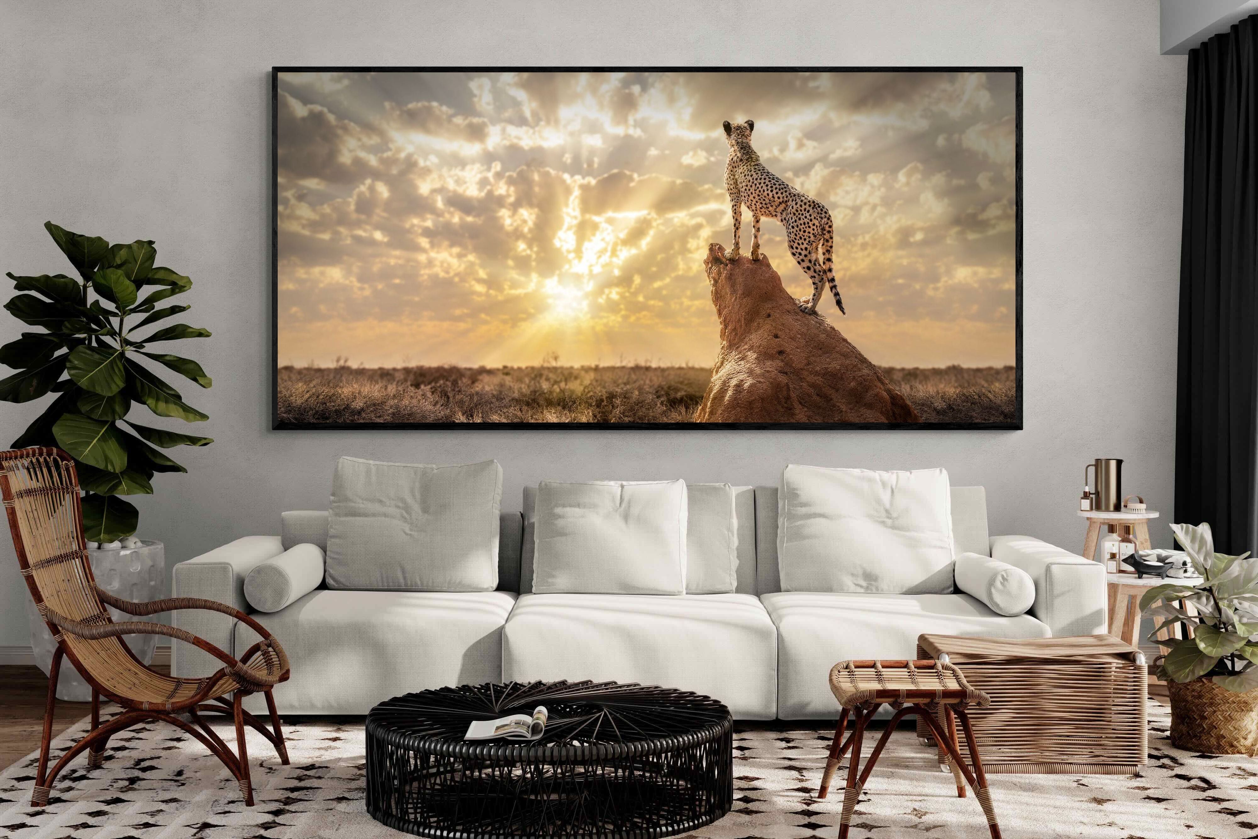 Pixalot King of the Savannah (Colour)