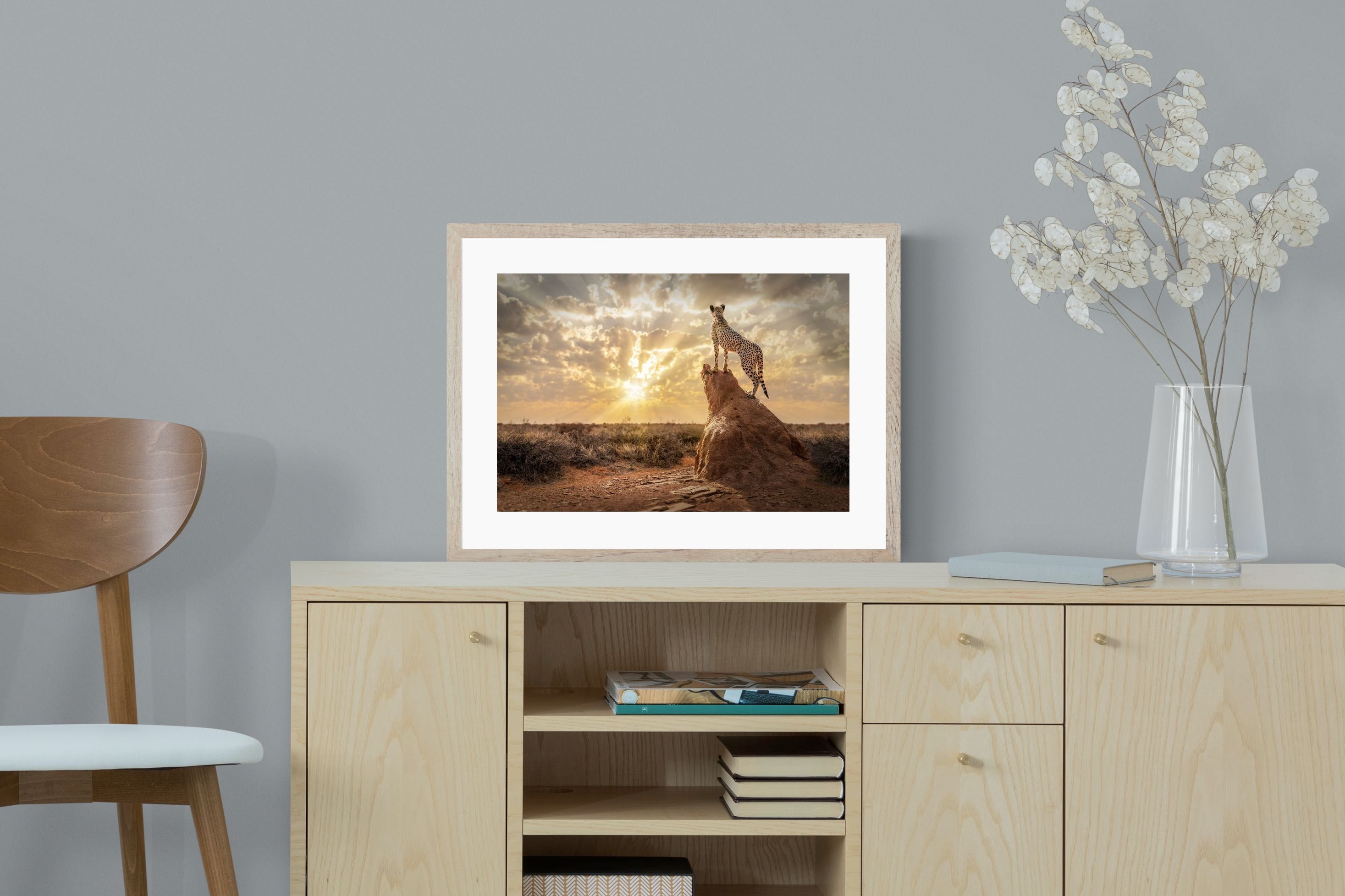 Pixalot King of the Savannah (Colour)