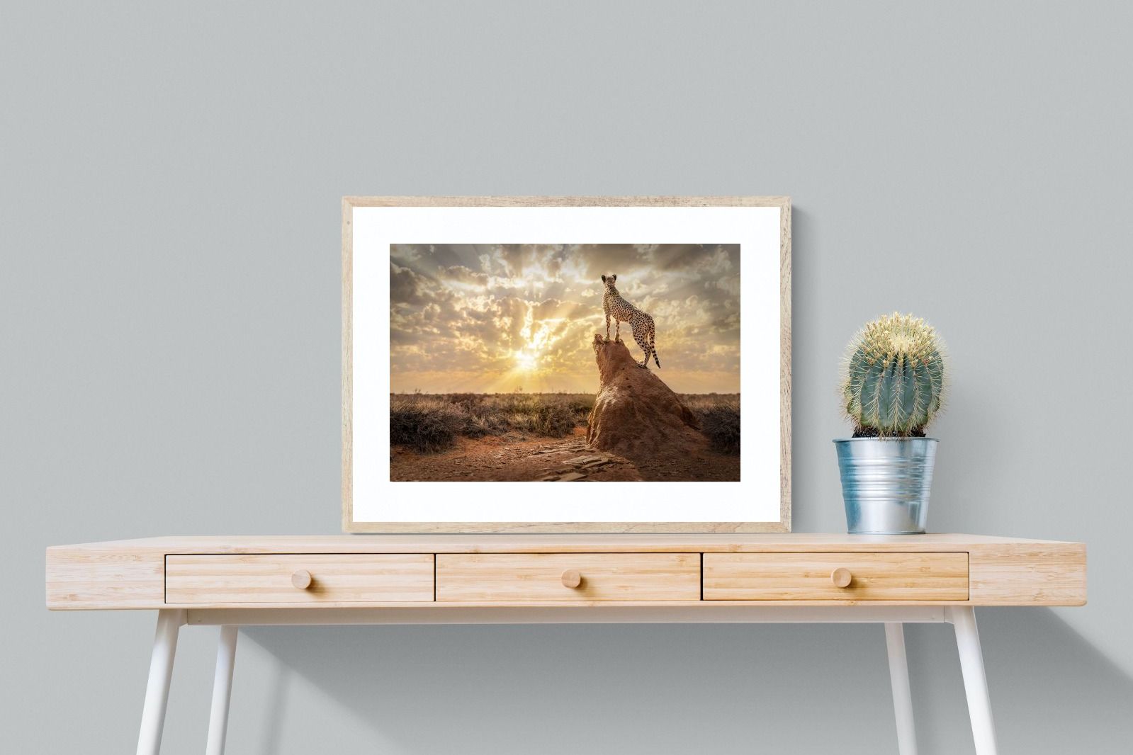 Pixalot King of the Savannah (Colour)