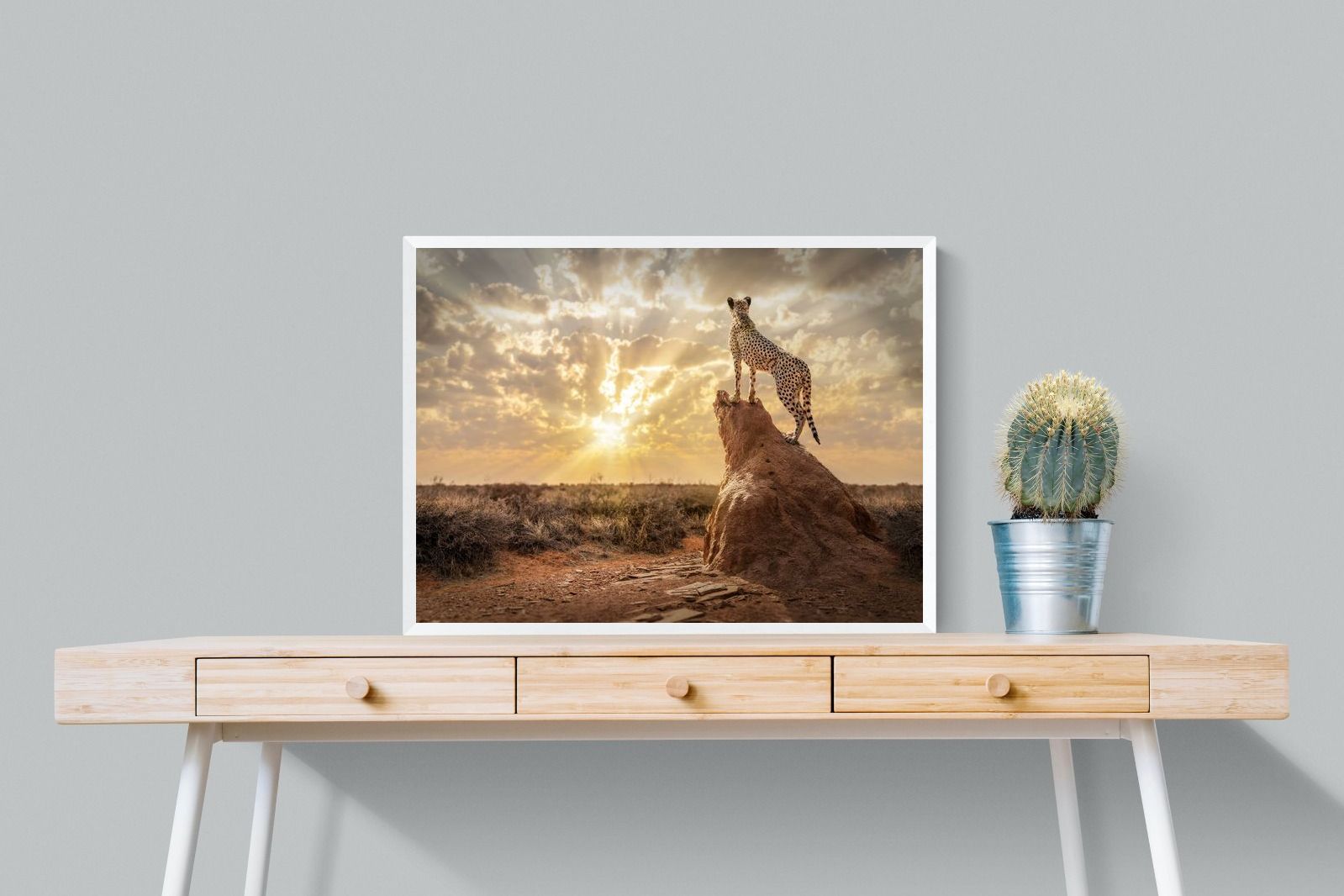 Pixalot King of the Savannah (Colour)