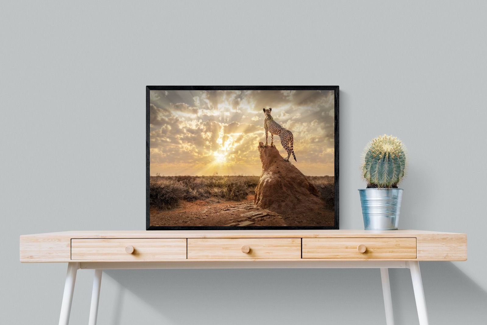 Pixalot King of the Savannah (Colour)