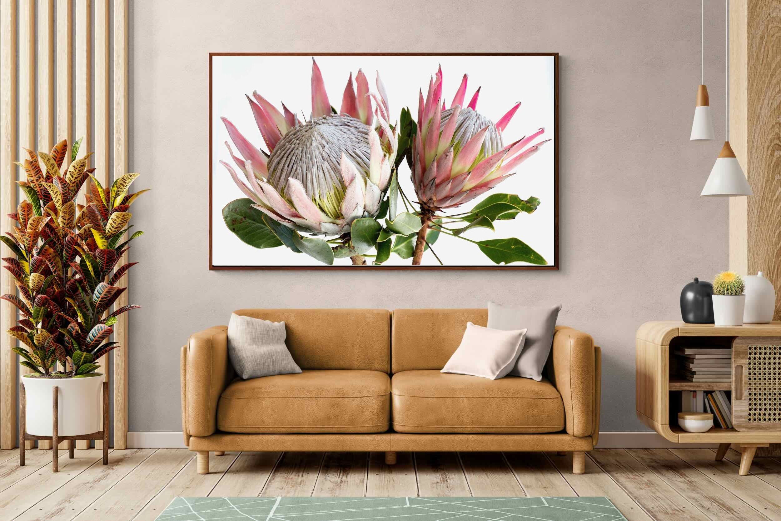 Pixalot ® King Proteas