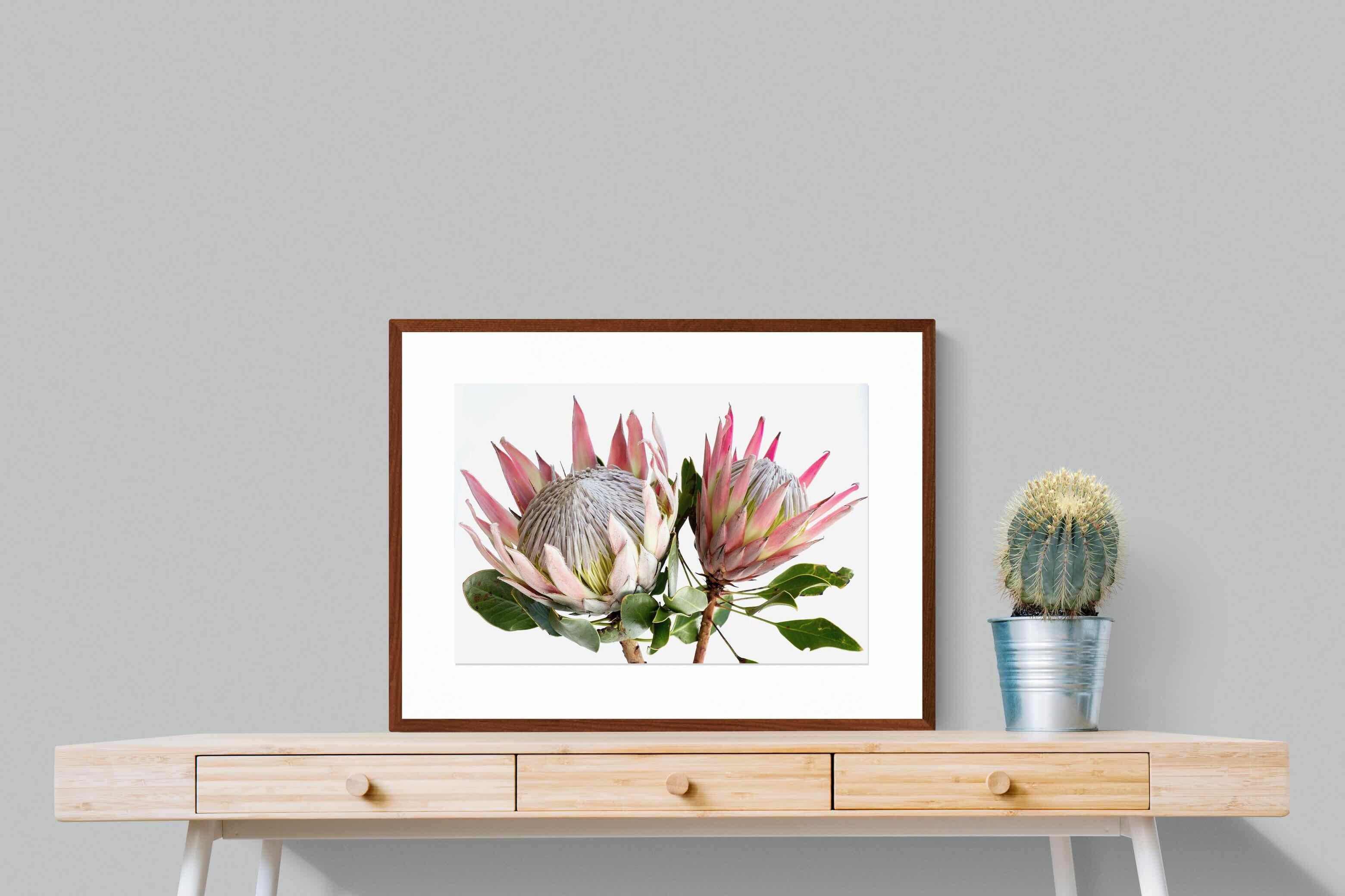 Pixalot ® King Proteas