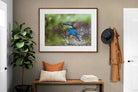 Pixalot ® Kingfisher Catch