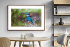 Pixalot ® Kingfisher Catch