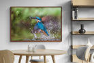 Pixalot ® Kingfisher Catch