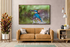 Pixalot ® Kingfisher Catch