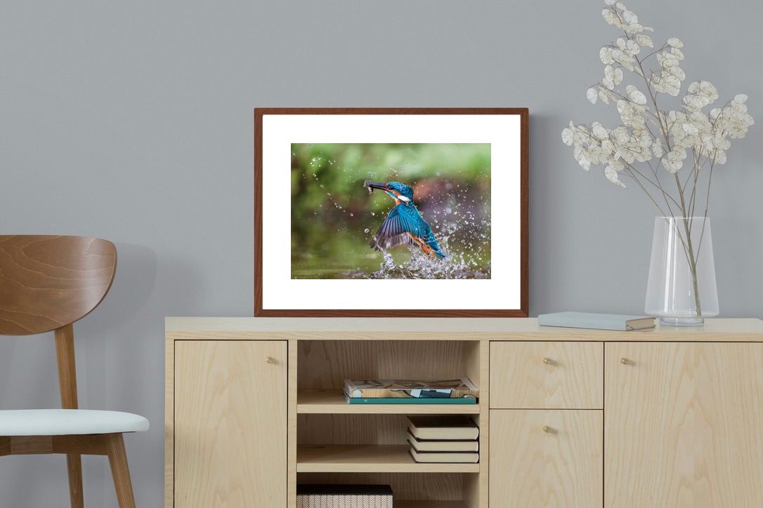 Pixalot ® Kingfisher Catch