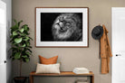 Pixalot ® King's Gaze