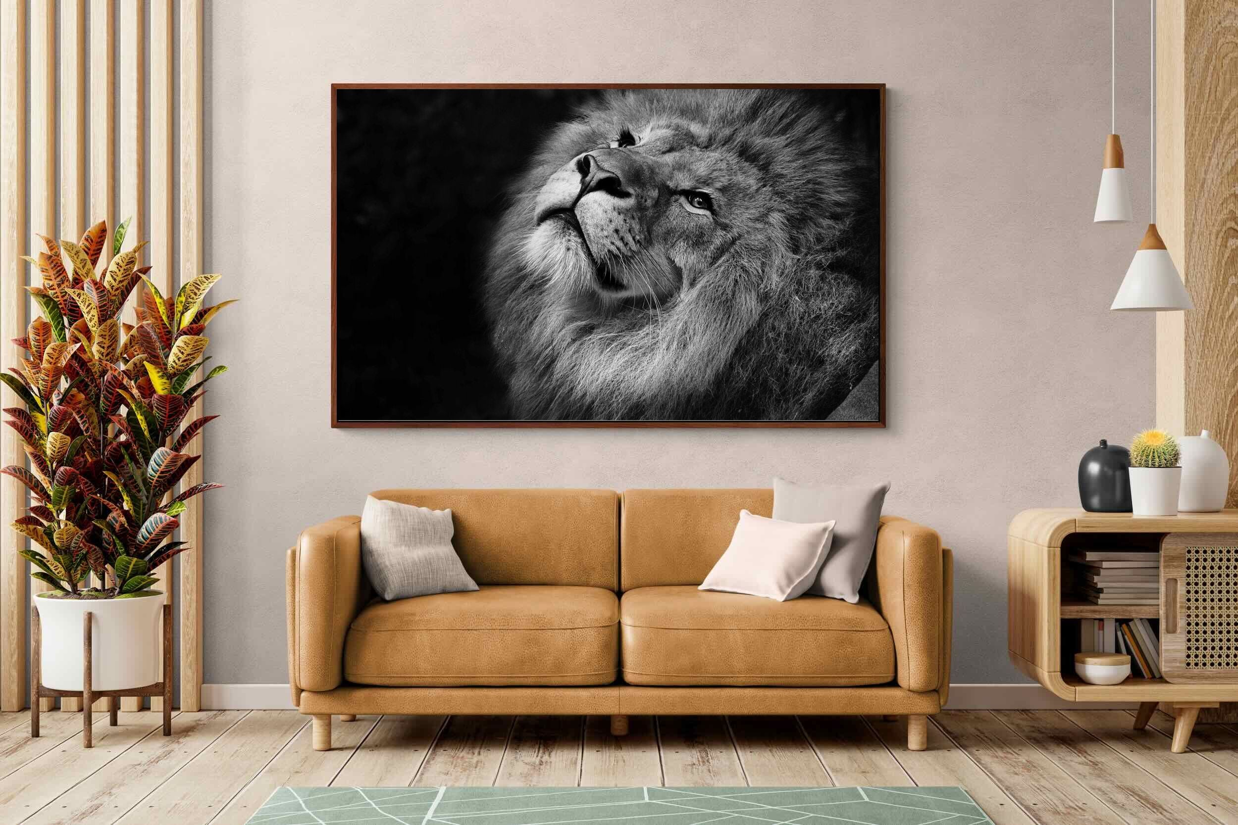 Pixalot ® King's Gaze