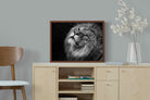 Pixalot ® King's Gaze