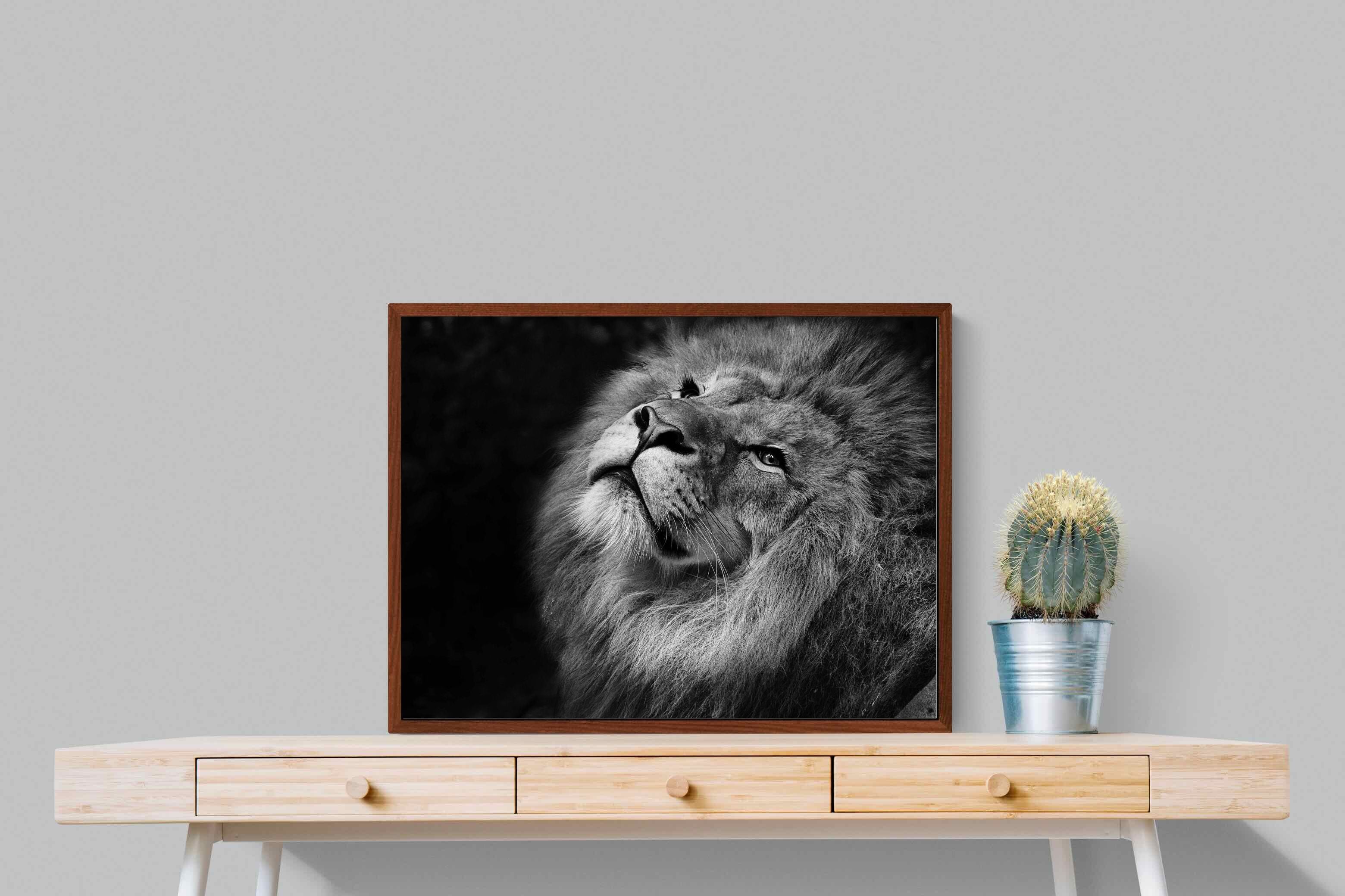 Pixalot ® King's Gaze