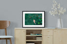 Pixalot Koi Pond