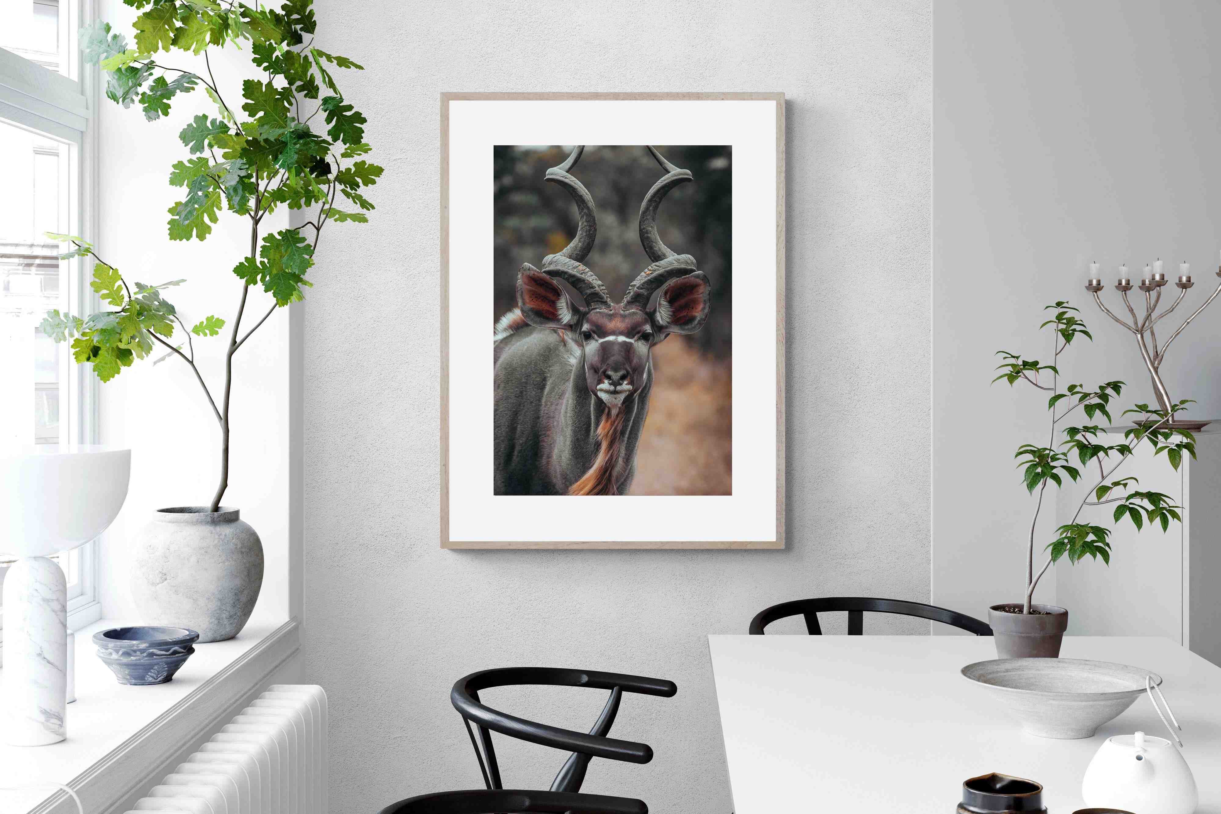 Pixalot Kudu