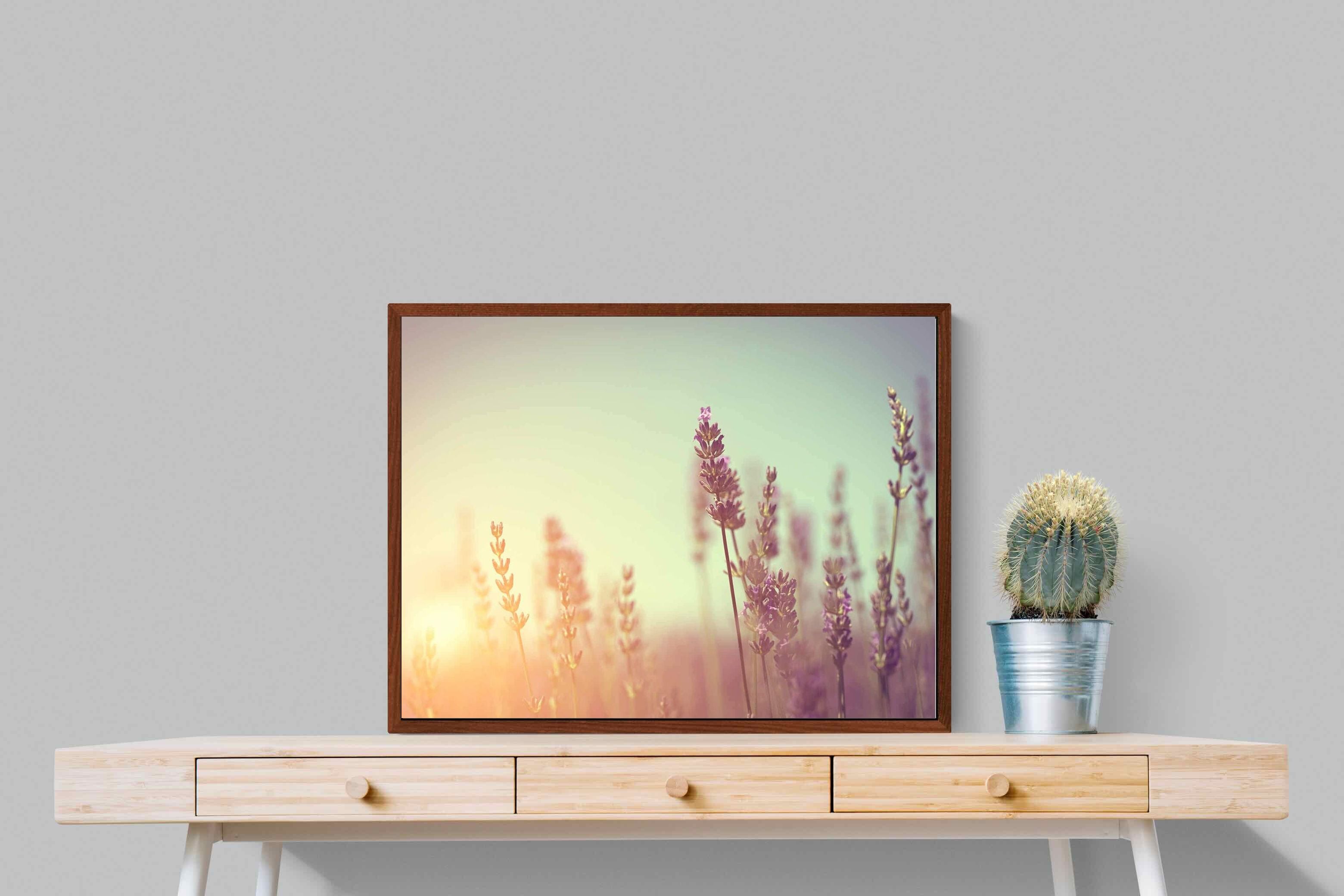 Pixalot ® Lavender
