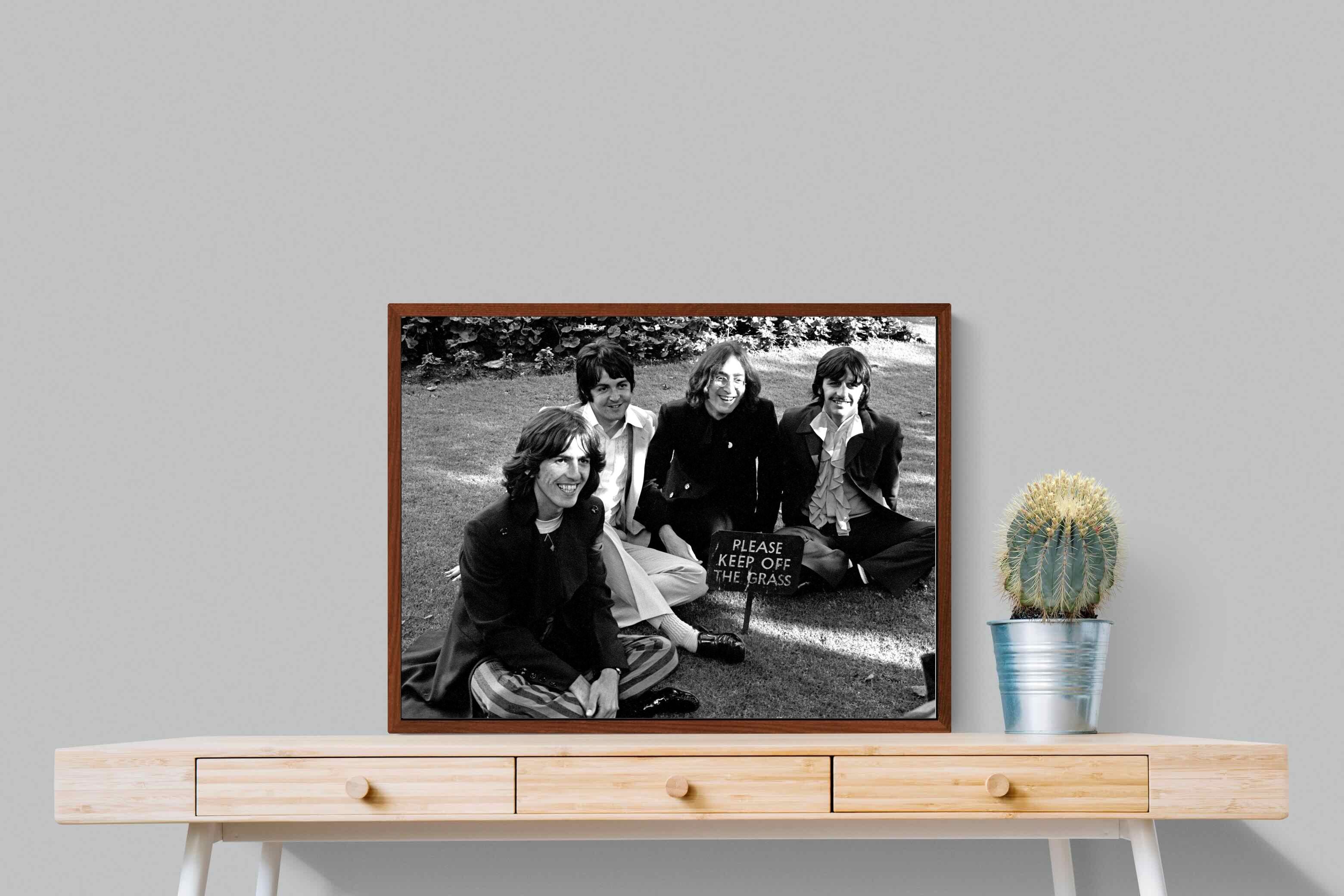 Pixalot ® Lawn Beatles