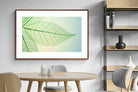 Pixalot ® Leaf