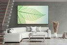 Pixalot ® Leaf