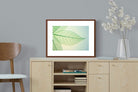 Pixalot ® Leaf
