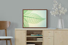 Pixalot ® Leaf