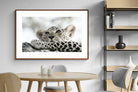 Pixalot Leopard Cub