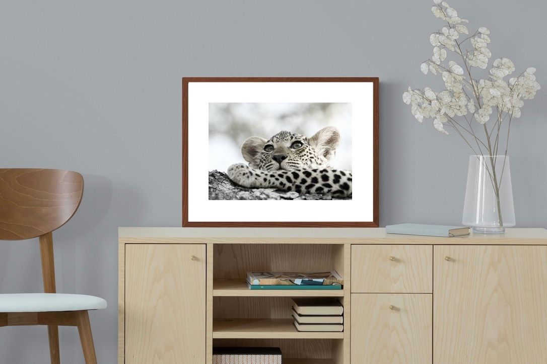 Pixalot Leopard Cub