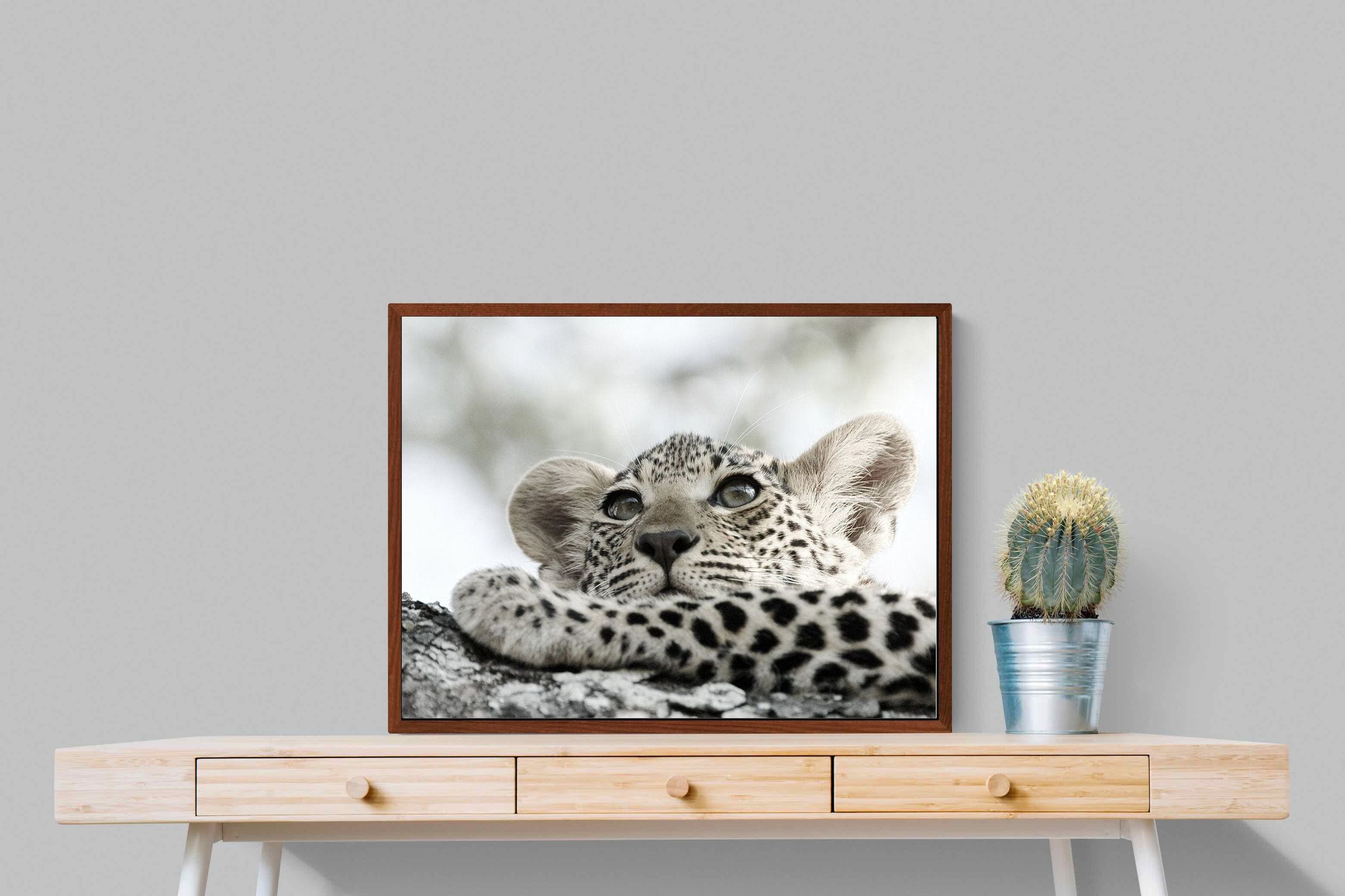 Pixalot Leopard Cub