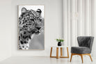 Pixalot Leopard Focus
