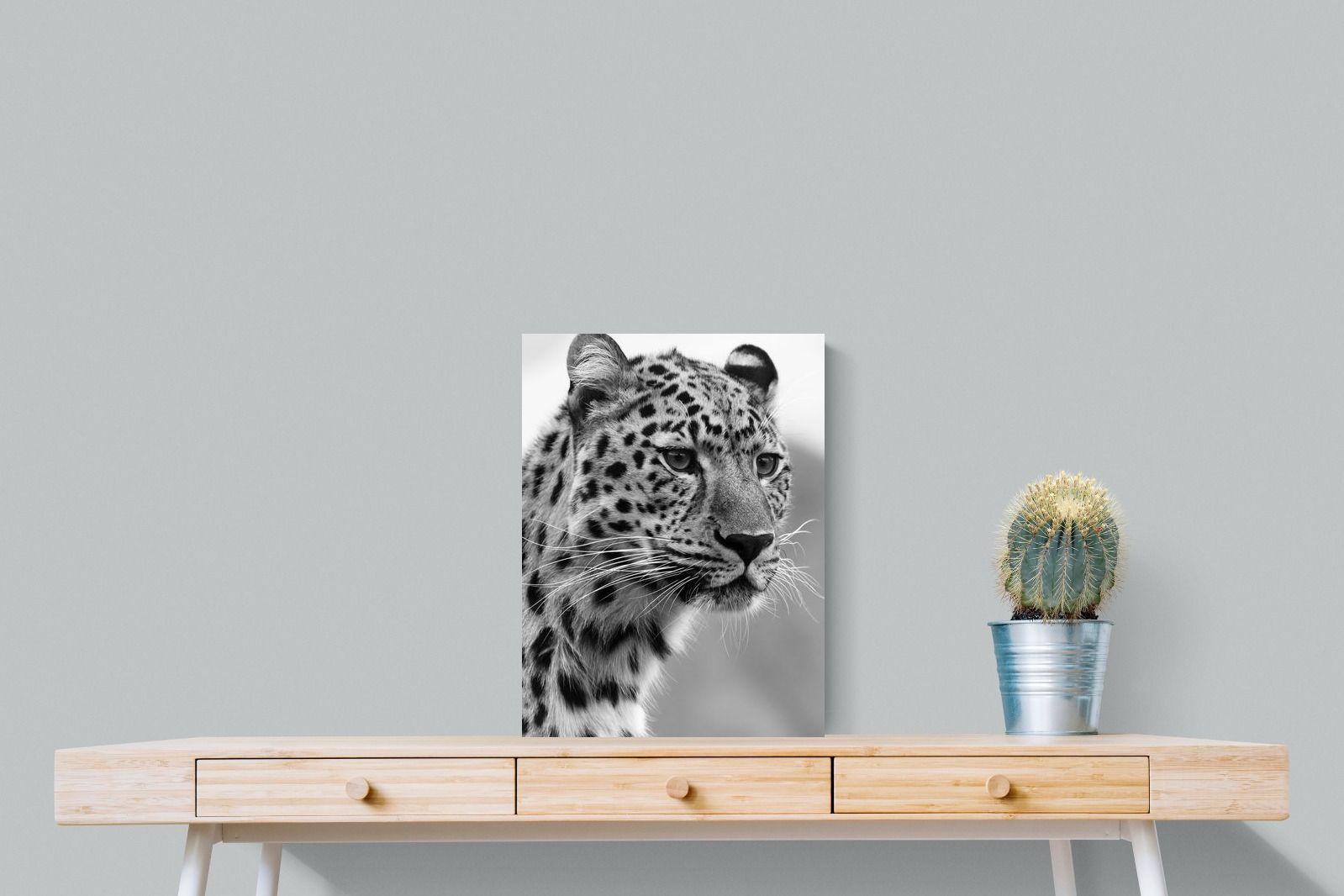 Pixalot Leopard Focus