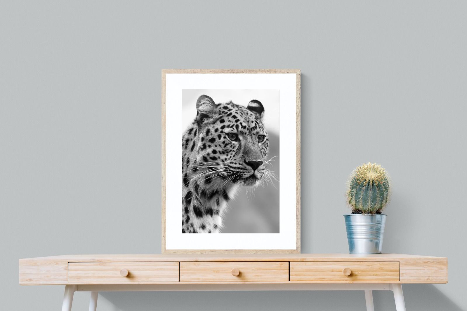 Pixalot Leopard Focus