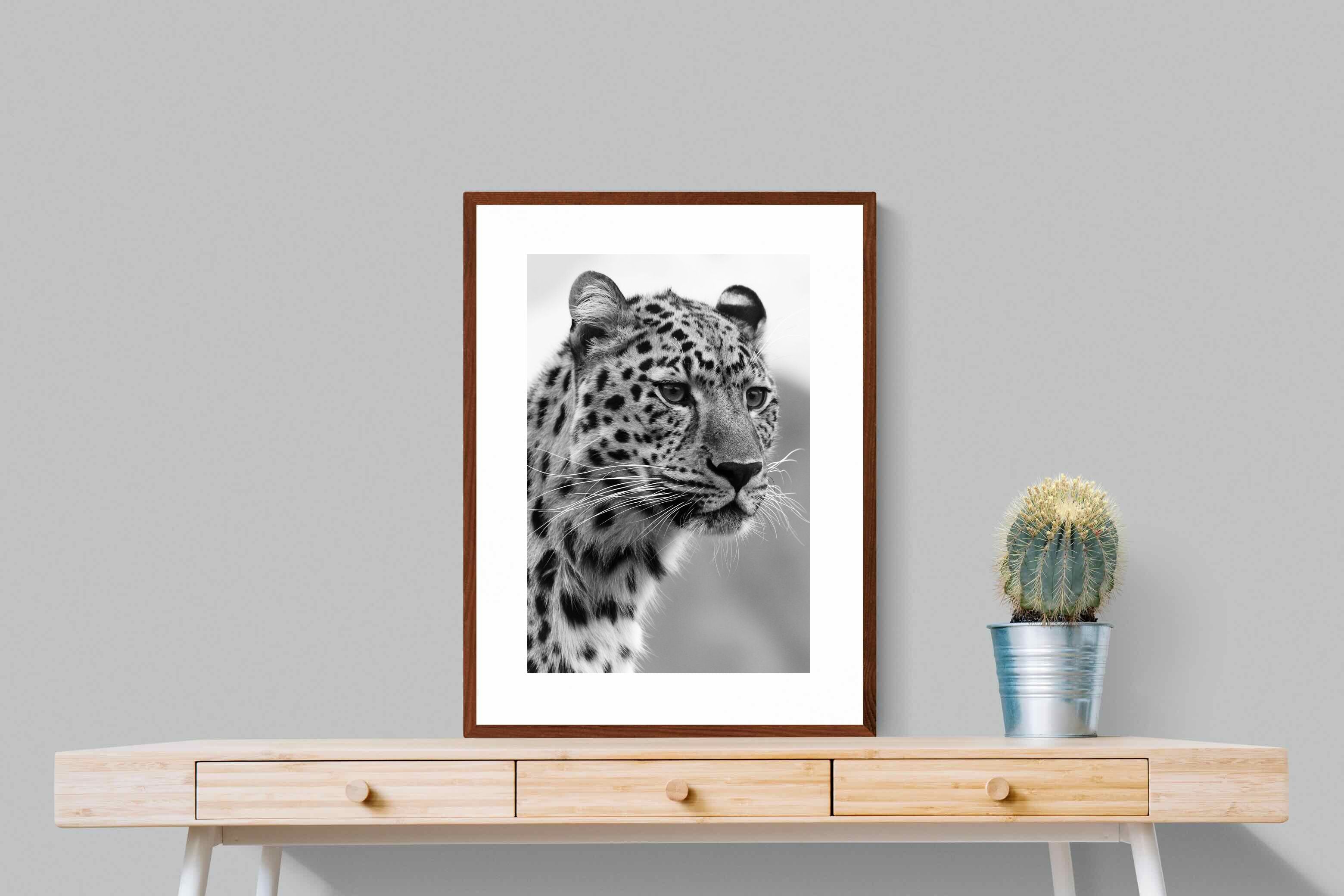 Pixalot Leopard Focus