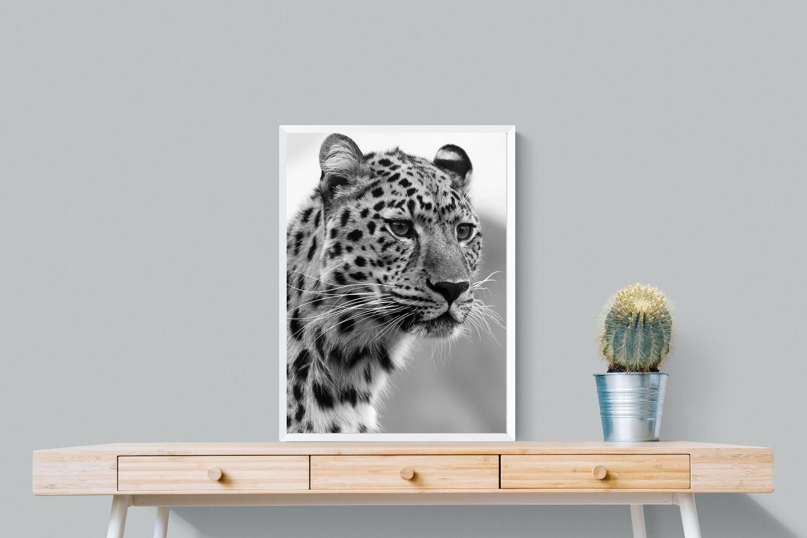 Pixalot Leopard Focus