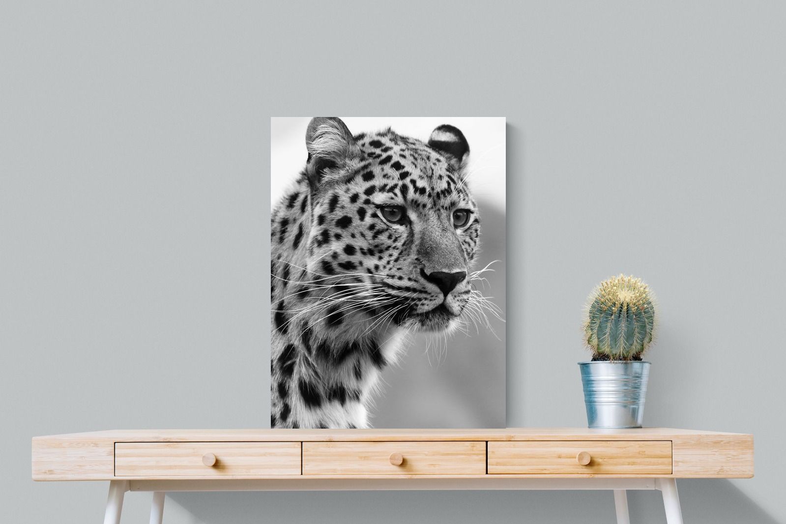 Pixalot Leopard Focus